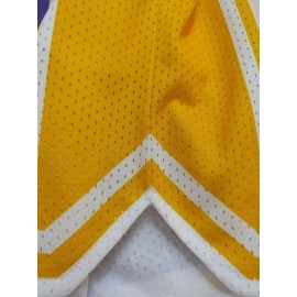 1pc Men'S Retro Embroidered Alphabet Polyester Sports Shorts, Loose Fit, Slight Stretch, Quick-Dry Mesh Breathable for Basketball, Running, Beach, Casual & Outdoor Activities - All Seasons